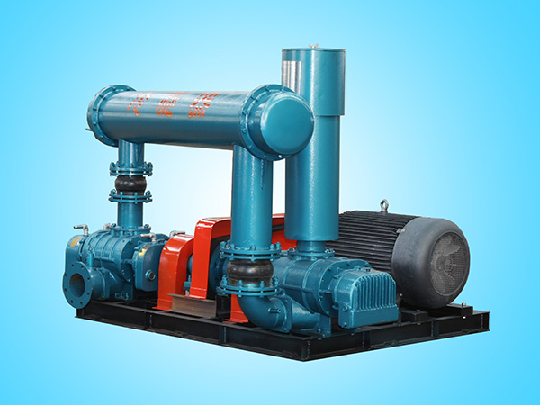 羅茨鼓風(fēng)機(jī) 羅茨鼓風(fēng)機(jī)